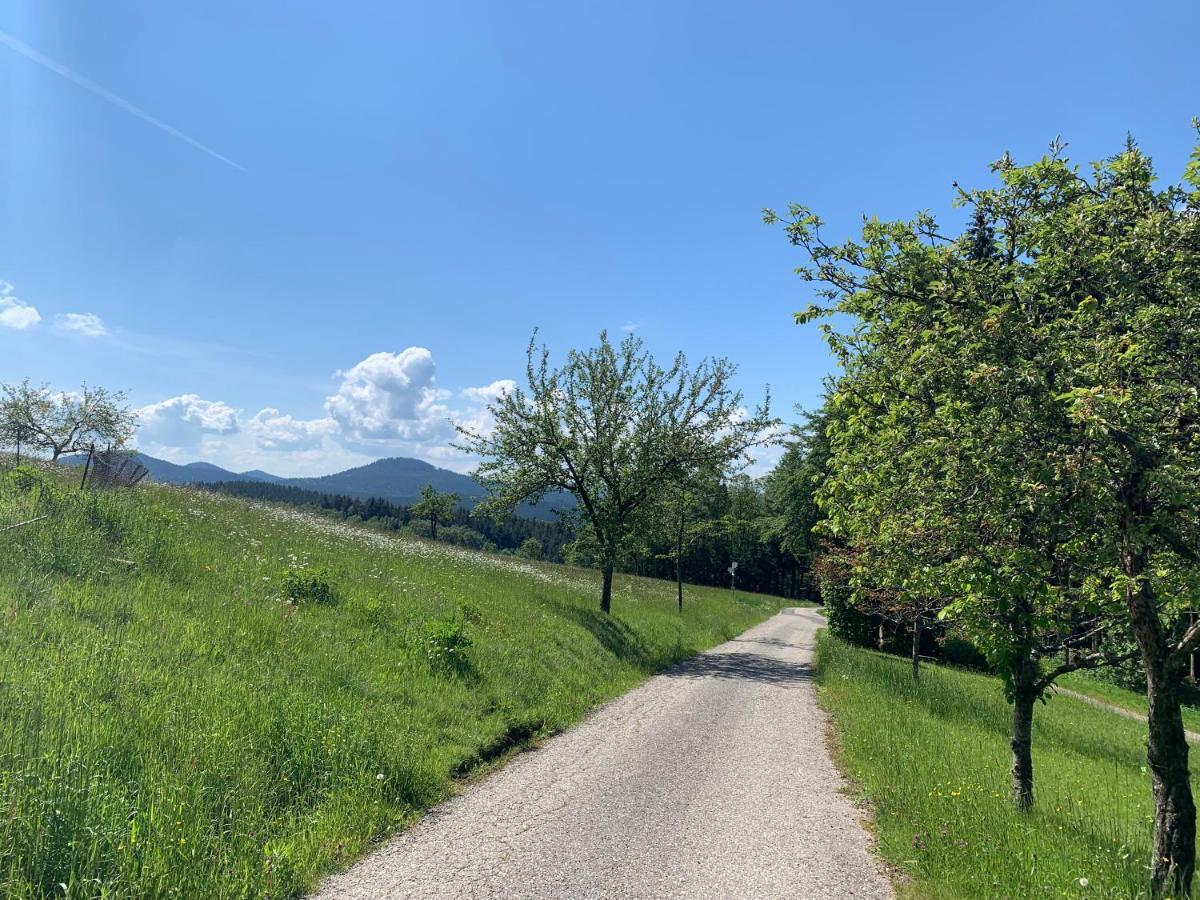 Landhotel Hirschen Oberwolfach Екстериор снимка